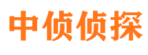 大悟市私家侦探